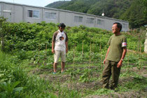 畑では既にナスやスイカなどが栽培されている＝岩手県大槌町